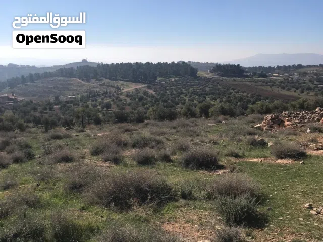 ارض زراعية/سكنية مميزة للبيع في جرش (جبا) من المالك مباشرة