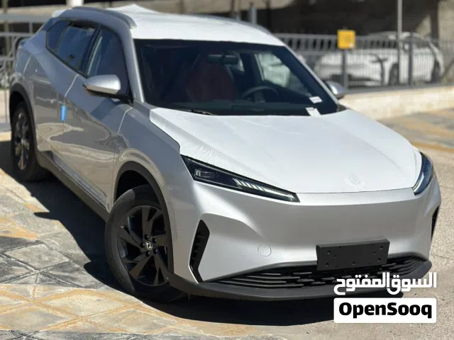 2026 دونج فينج سكاي EV01