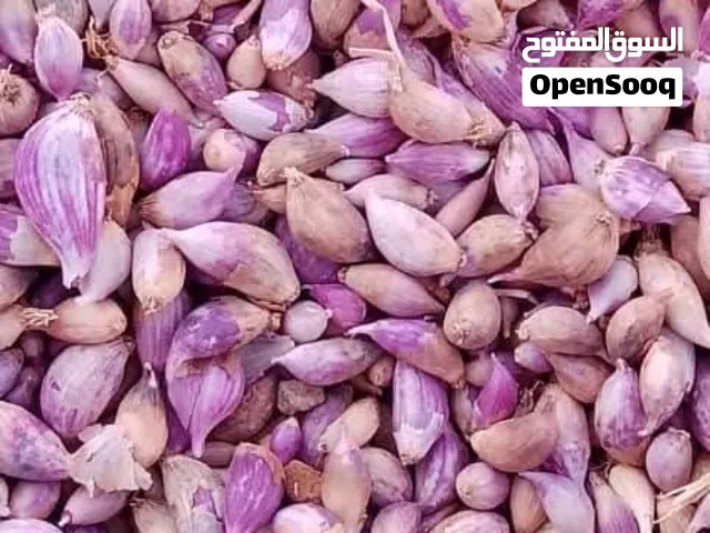ثوم بلدي درجة أولى (ذكر وعادي) - كميات كبيرة للجملة وتجزئه