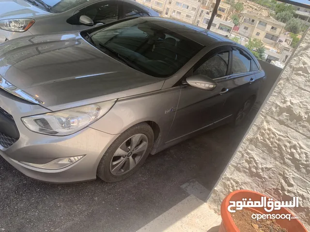 Used Hyundai Sonata in Salt