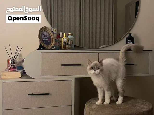 سرير مع تسريحة للبيع