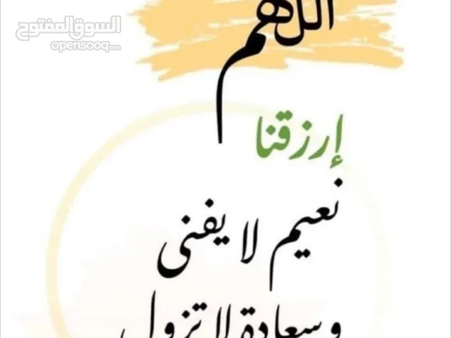 Omar Ma7mod