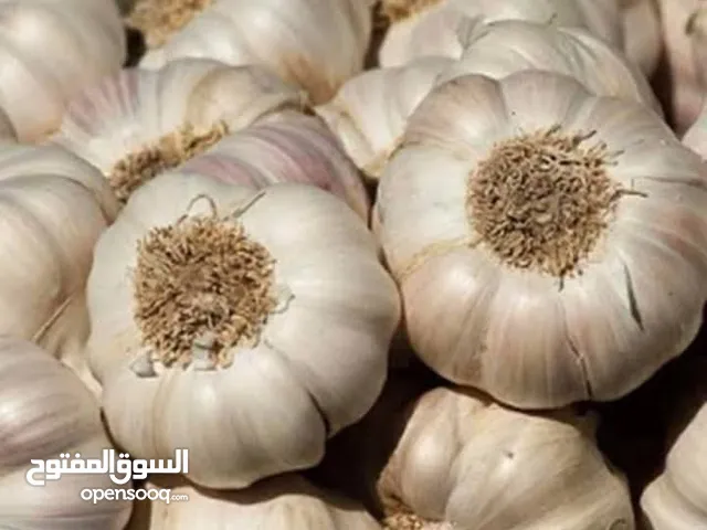 ثوم مقشر نخب اول بلدي