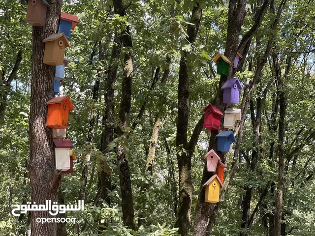 حصد عشب المنازل والحدايق والاسترحات