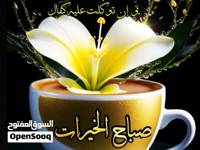 مخزن 48 متر للايجار مقابل مقبره ارشيدات على المنعطف عماره التل