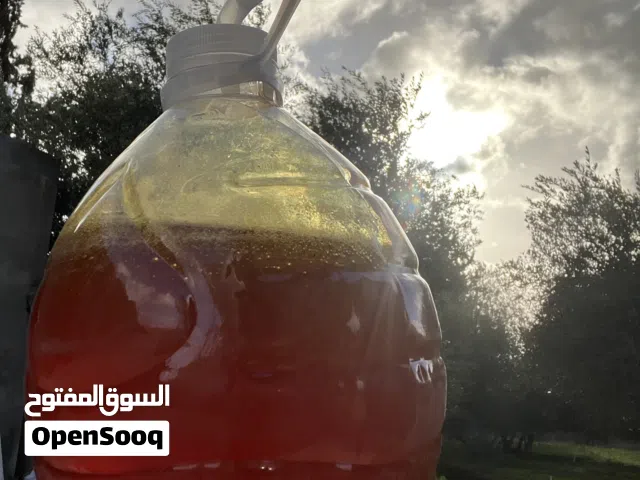 عسل سدر جديد وقديم( السنه الماضيه)