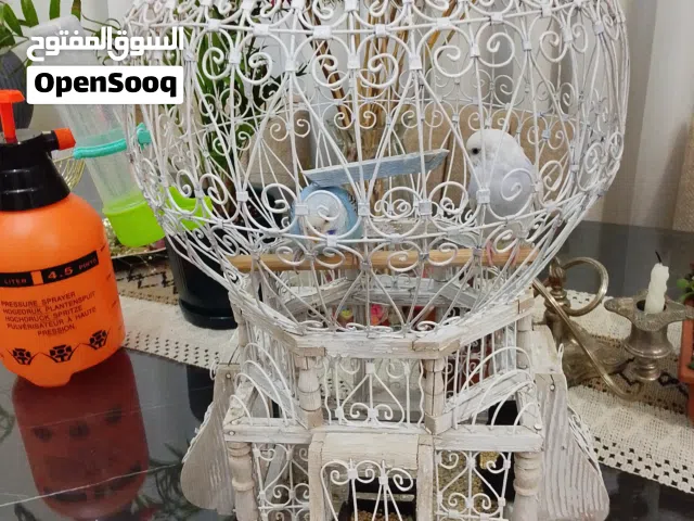 قفص عصافير انتيك شغل يدوي