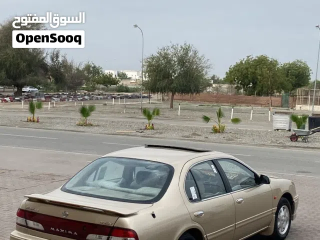 مكسيما1998 الوصف مهم.