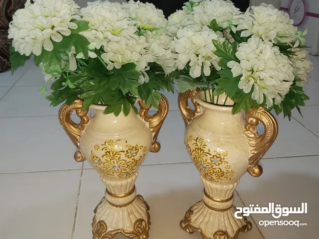 للببع مزهريتين