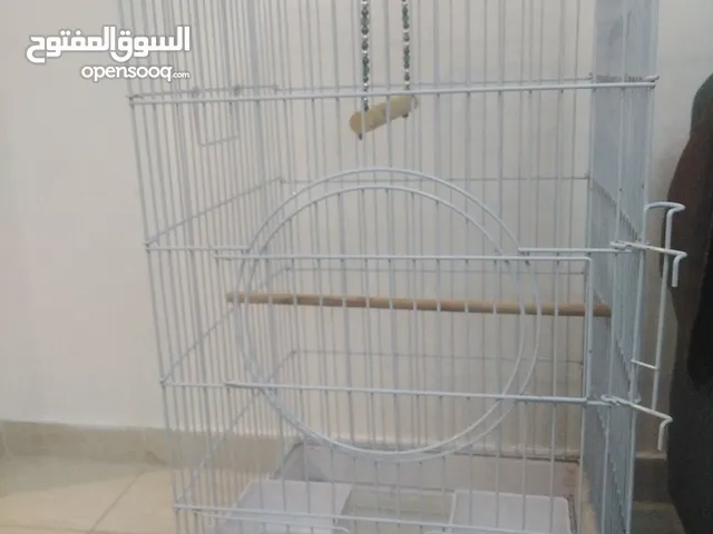 قفص كبير الطيور الكبيره
