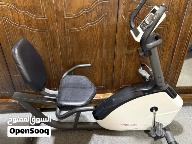 Recumbent Exercise Bike