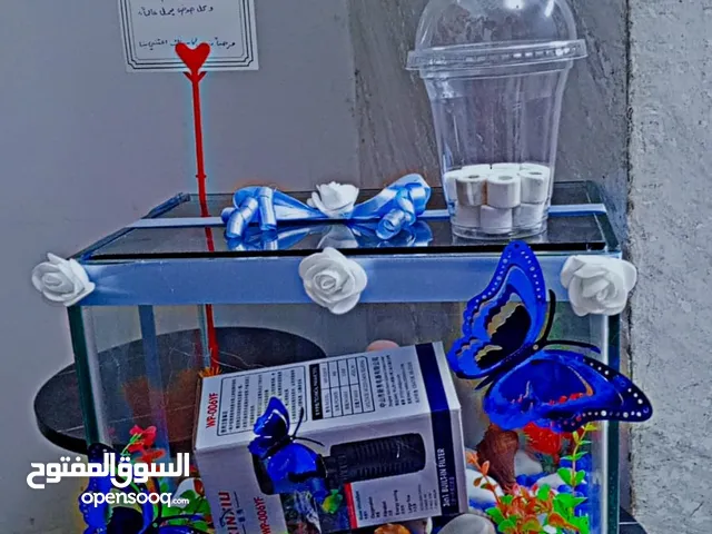 احواض سمك زينه بأحجام وأشكال مختلفة
