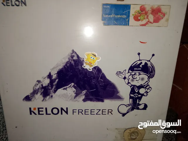 Other Refrigerators in Baghdad