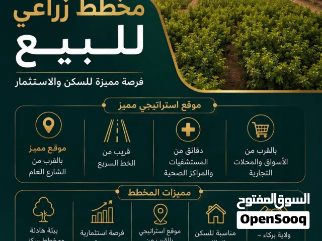 Farm Land for Sale in Al Batinah Barka