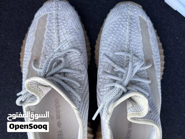 ييزي اديداس اصلي