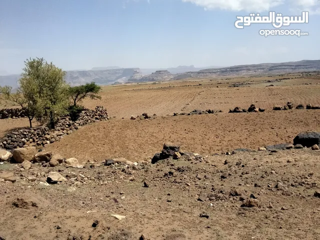Mixed Use Land for Sale in Sana'a Hamdan
