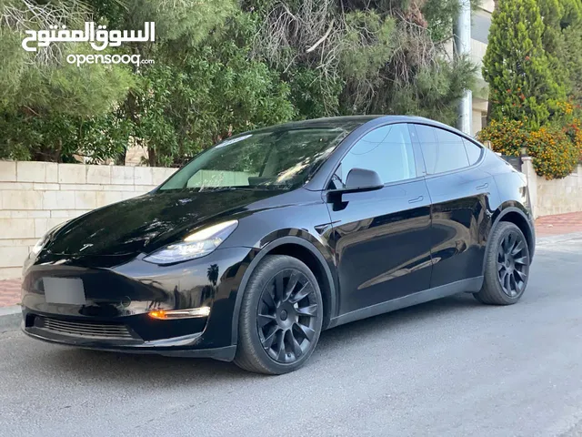 تيسلا y لونج رينج 2023