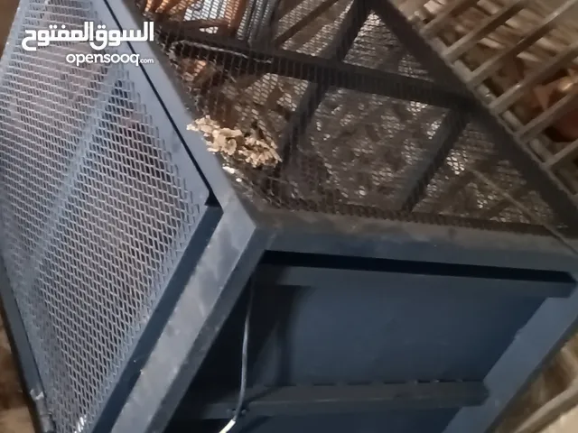 مصعد ونش للبيع