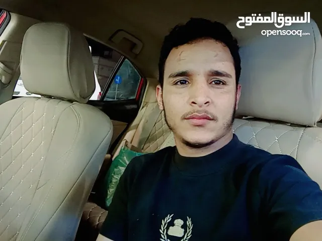 محمد احمد هاشم القاضي