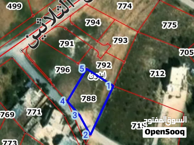 ارض 850 متر داخل التنظيم ، واصل جميع الخدمات ، المزه ، المفرق ، مفروز قوشان واحد