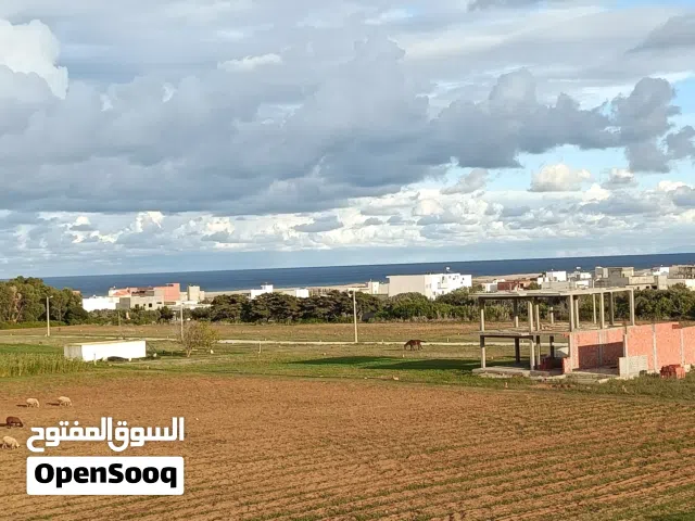 دار علوش نابل