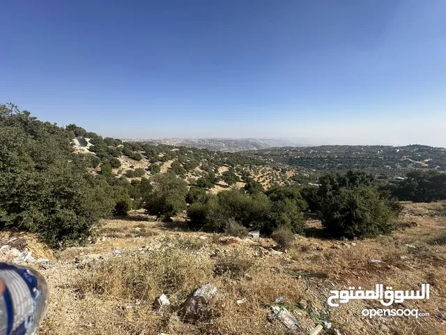 Farm Land for Sale in Mafraq Bala'ama