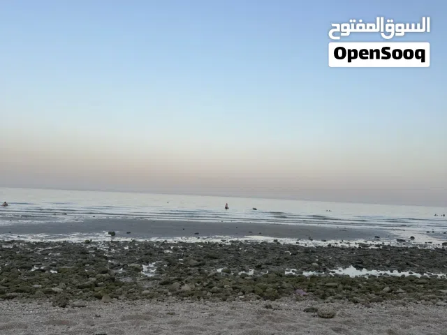 600 m2 2 Bedrooms Apartments for Rent in Hawally Salmiya