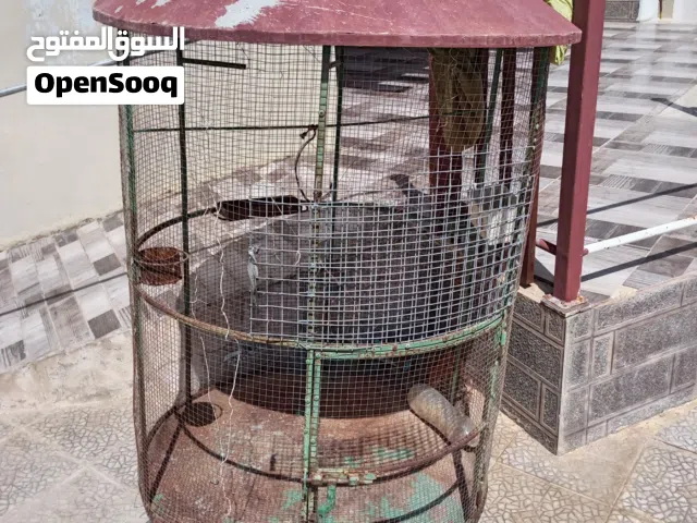 قفافص طيور
