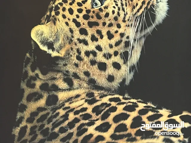 لوحه فنيه
