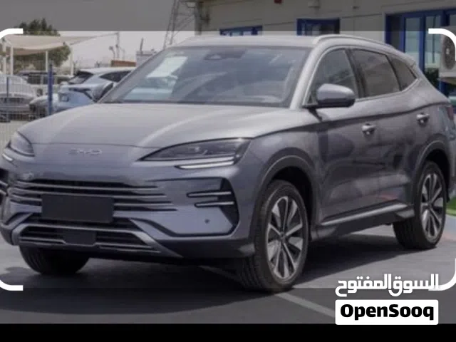 2022, بي واي دي, سونج برو