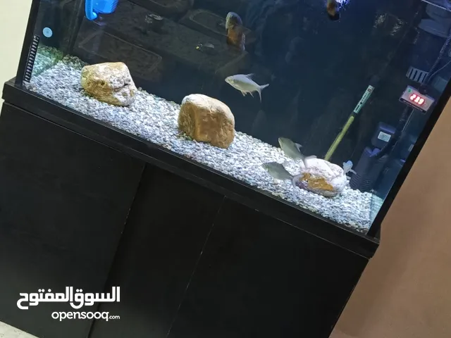 حوض سمك احترافي للبيع شوف واصف منيح