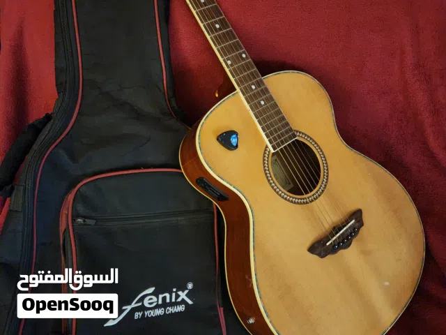كيتار كلاسيك وكهرباء