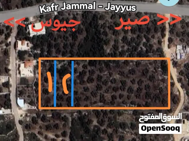 Mixed Use Land for Sale in Qalqilya Other