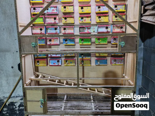 قفص للبيع يرهم فناجس وطيور حب