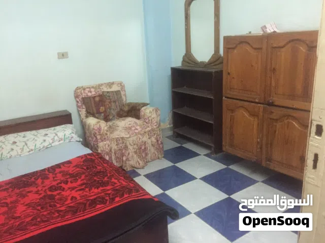 60 m2 1 Bedroom Apartments for Rent in Giza Faisal
