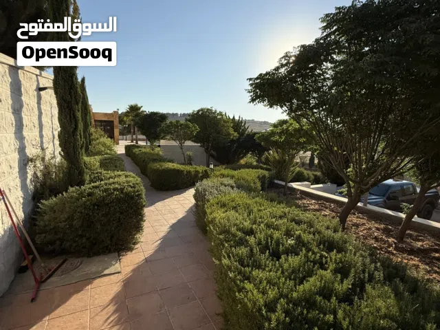 Farm Land for Sale in Amman Umm al Kundum