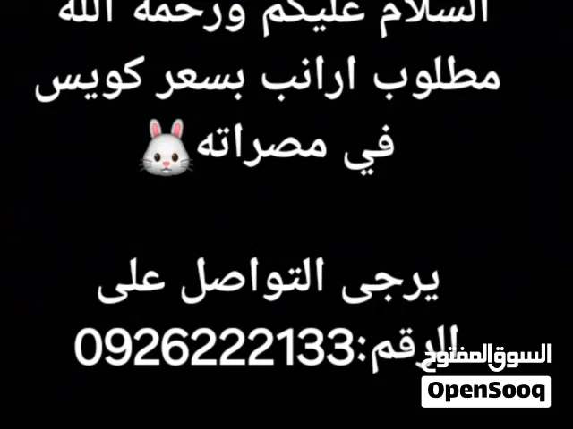 مطلوب ارانب