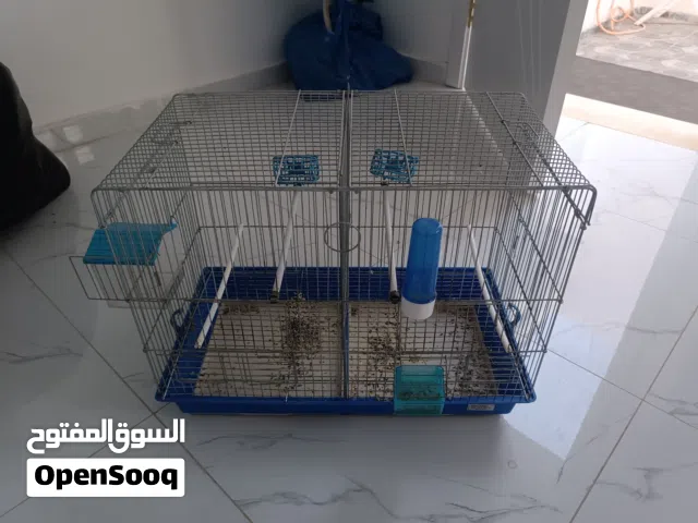 قفص حضان كبير سوري
