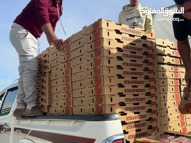 يوجد مزرعه فراوله للبيع بمعداتها الزراعيه الكامله