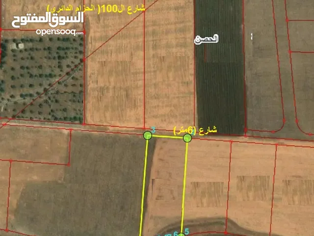 اراضي الحصن 4 دونمات ضمن حوض عوجات الطيارة مفروزة تنظيم زراعي