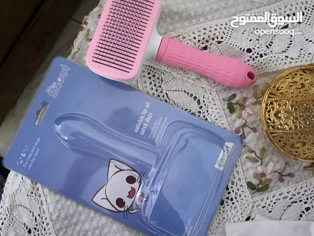 للبيع قط سكوتش فولد
