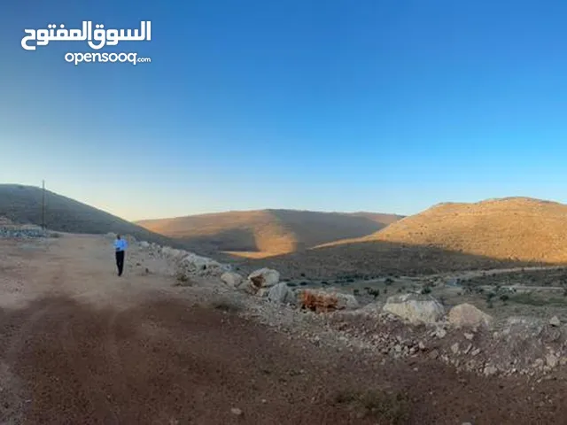 Mixed Use Land for Sale in Tulkarm Kafr Sur