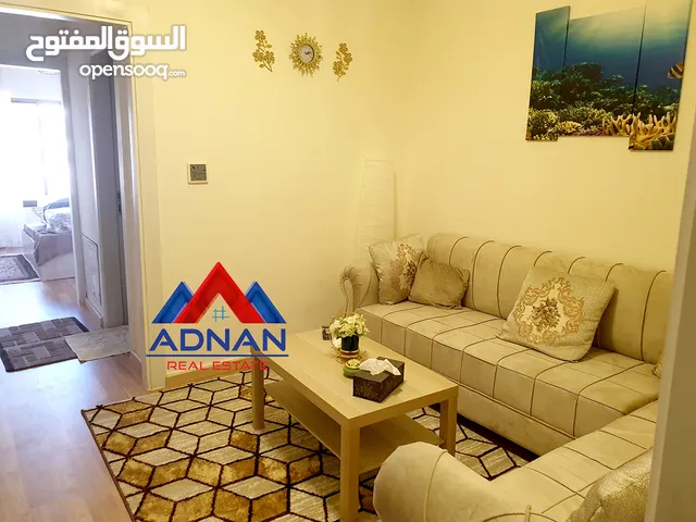 40m2 1 Bedroom Apartments for Rent in Amman Al Rabiah