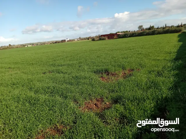 Mixed Use Land for Sale in El Jadida Other