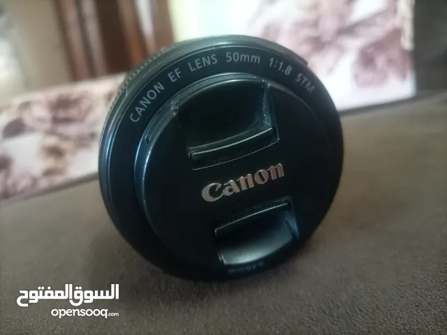 Canon Lenses in Jerash