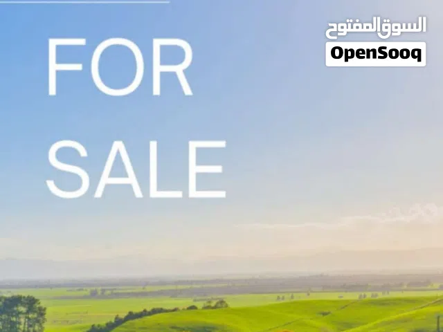 170دونم جلول