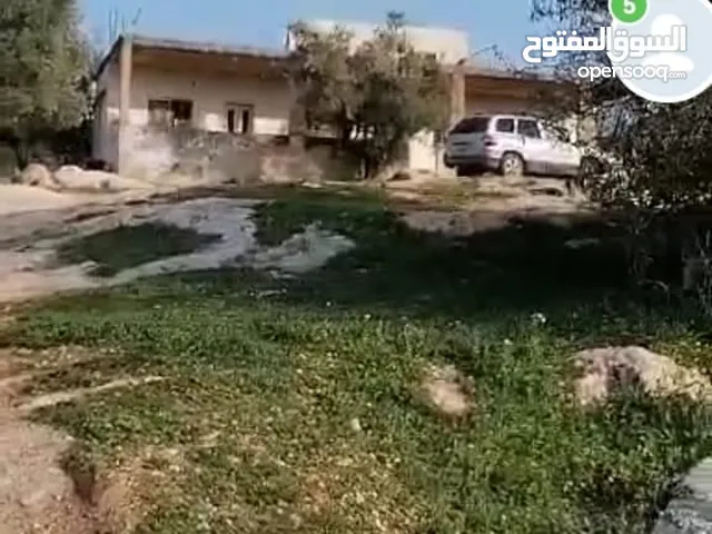 ارض من أراضي اربد في قريت بيت يافا معمر عليها بيت قديم