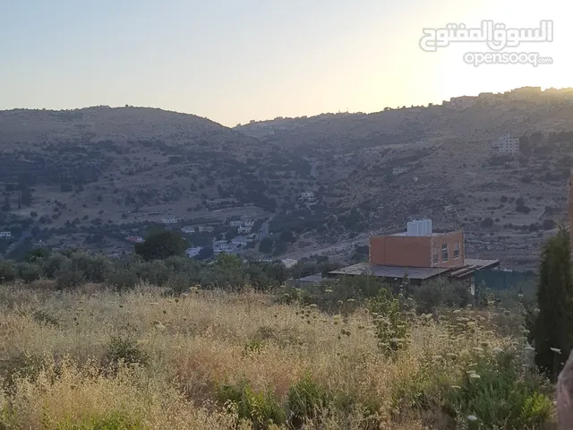 Farm Land for Sale in Salt Al Balqa'