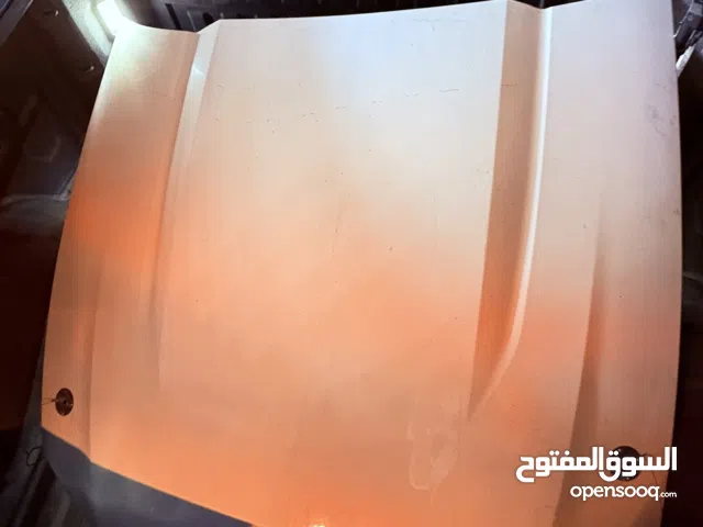 كبوت بو تراجي حق موستنق