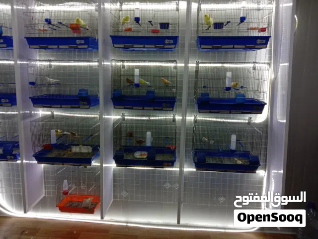 اقفاص تزاوج للبيع